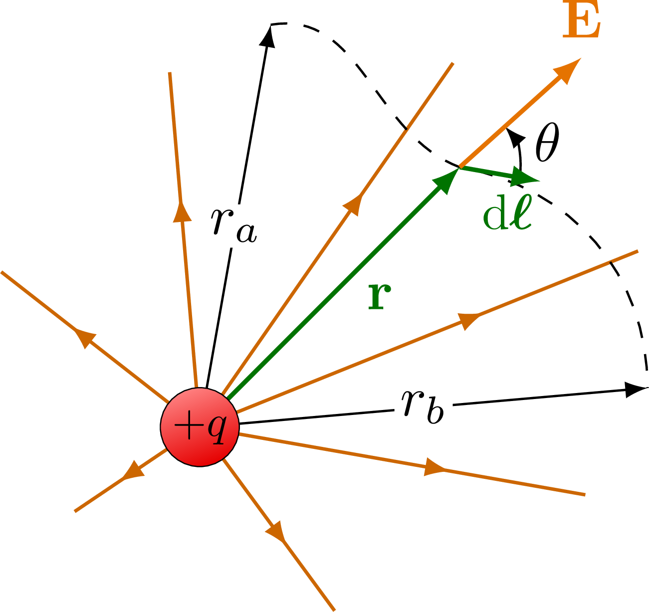 Electric field lines of a point charge