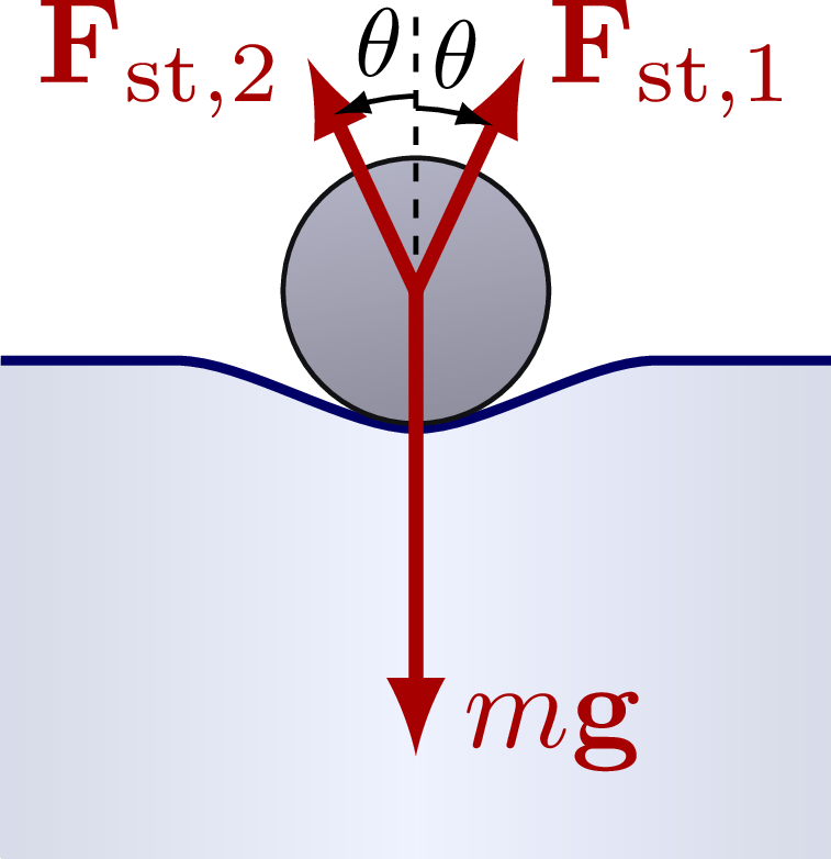 Surface tension & capillary action