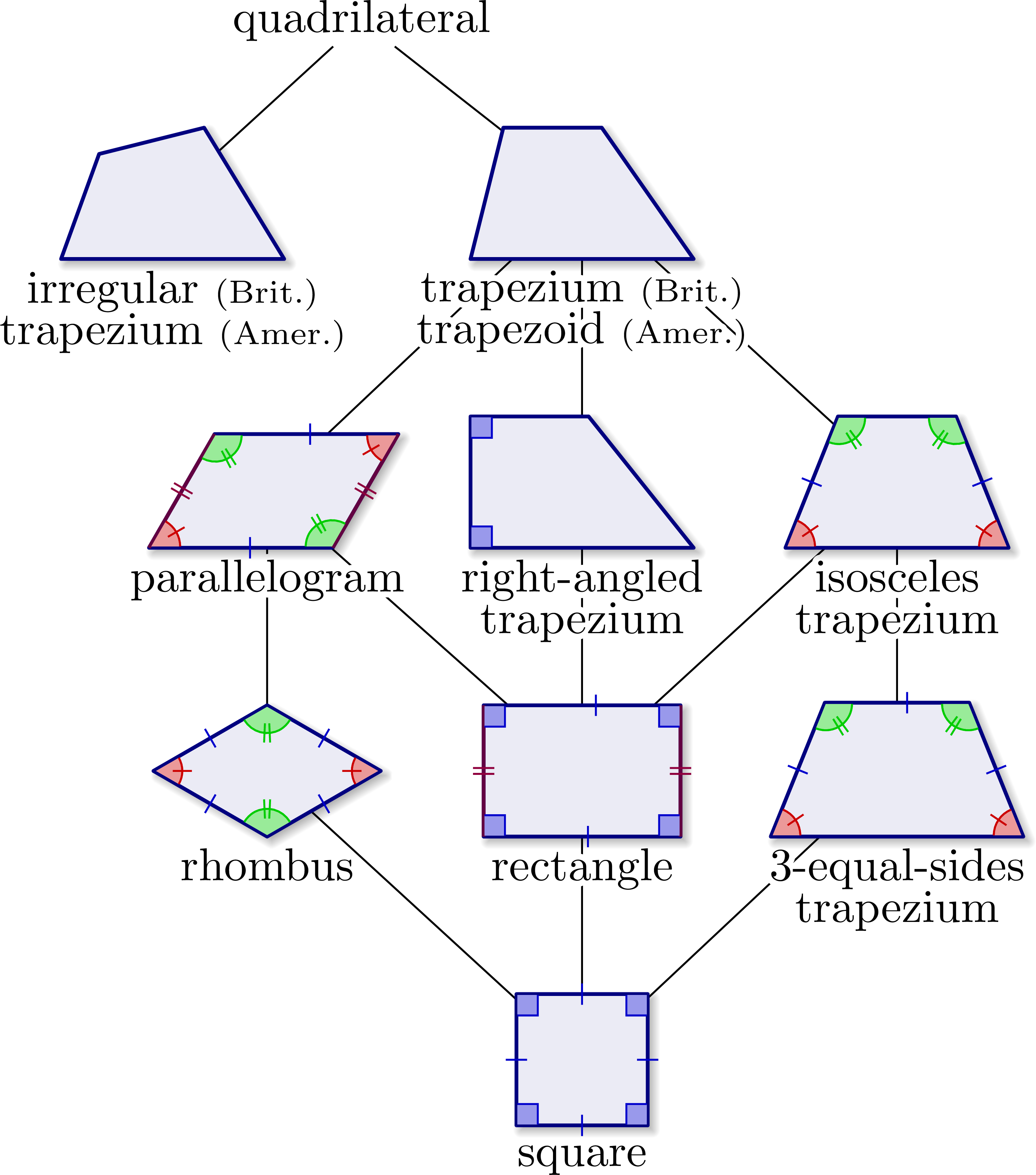 quadrilateral diagram tree