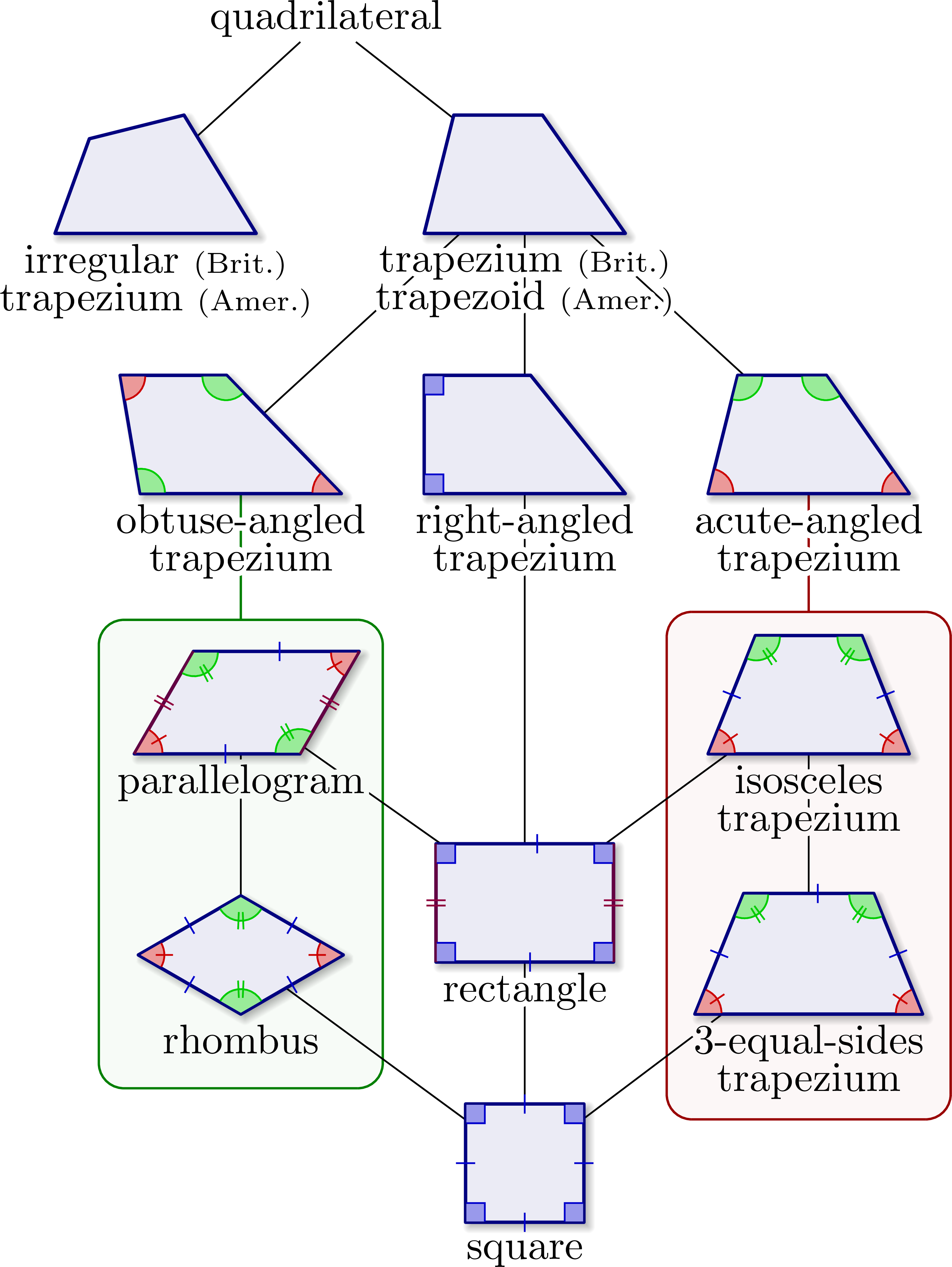 quadrilateral diagram tree