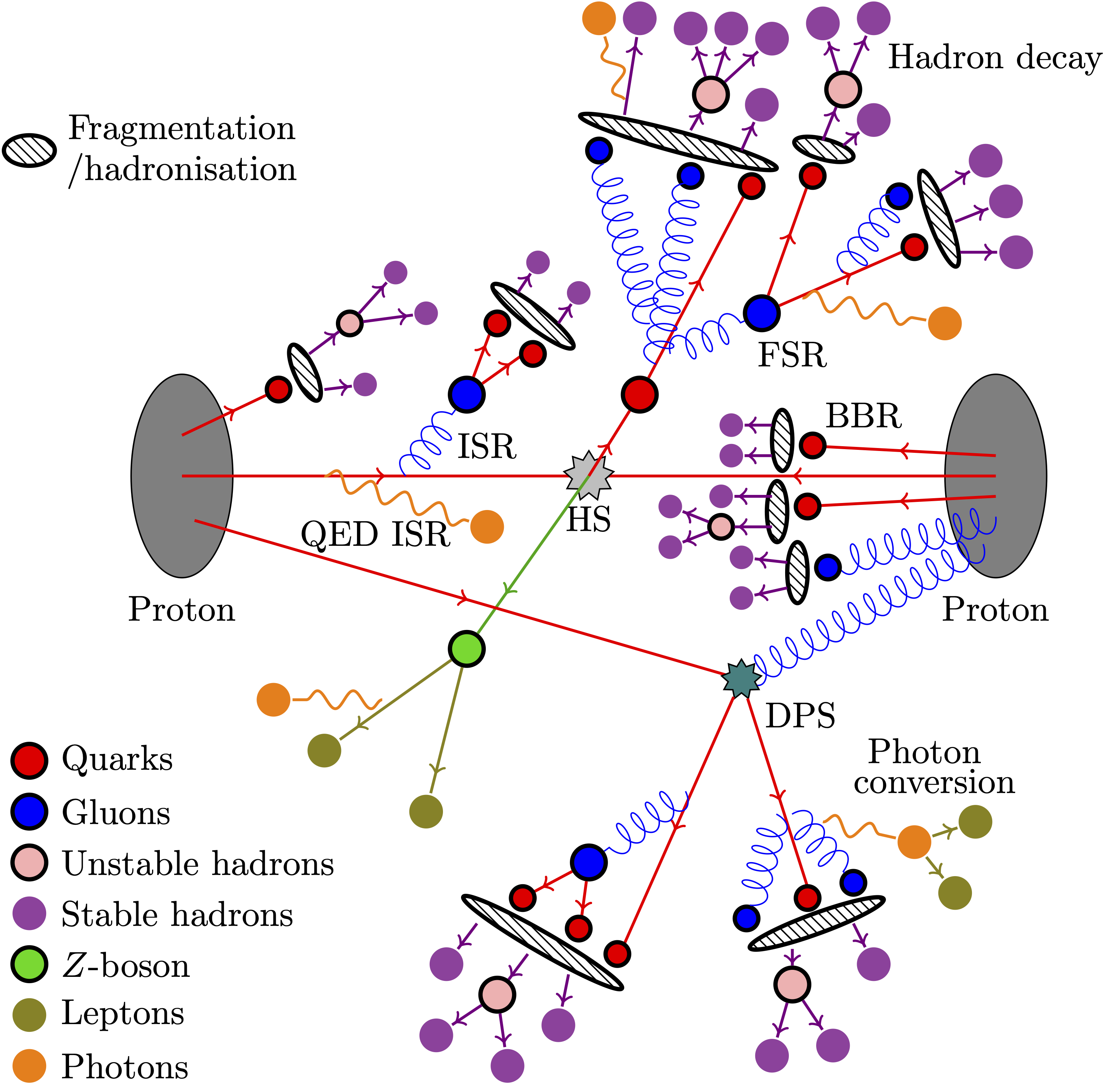 Z + jets production in proton collisions