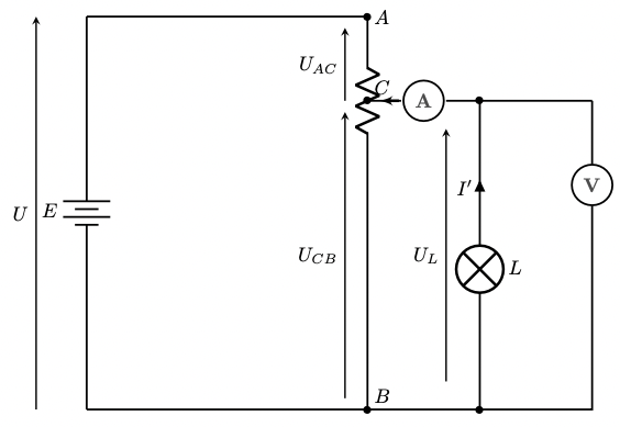 potentiometric circuit with lamp